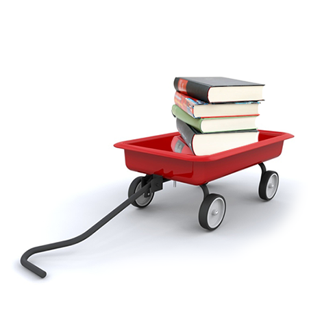 Private Reading Tutoring for Kindergarten, first grade, second grade, third grade ELA in Manhattan, Riverdale and the Rivertowns, NY